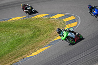 Lower Group Green Bikes